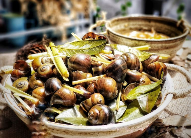 Bạn nên chế biến ốc thật kỹ và ưu tiên luộc/hấp, hạn chế chiên xào để tốt hơn cho người bệnh tiểu đường 
