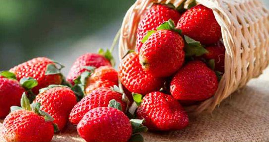 Đừng Quên Những Loại Quả Này Trong Chế Độ Ăn Mùa Đông Này