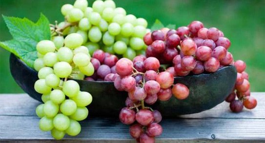 Đừng Quên Những Loại Quả Này Trong Chế Độ Ăn Mùa Đông Này