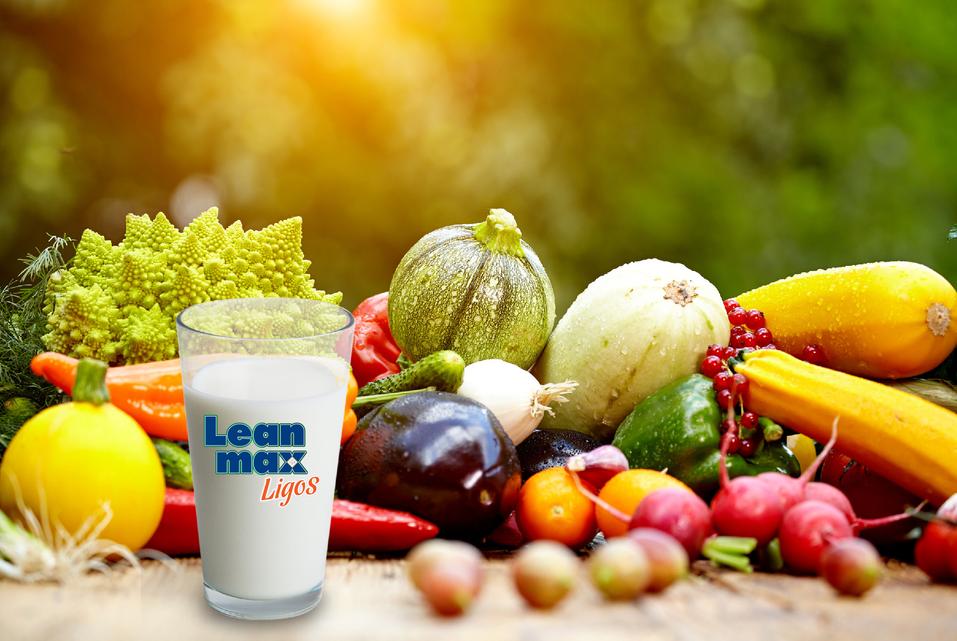 Leanmax Ligos: Nutrition for the damaged liver