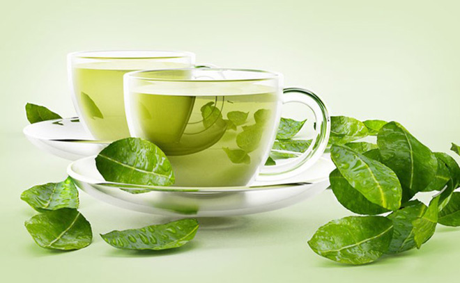 trà xanh giúp tăng cường sức đề kháng