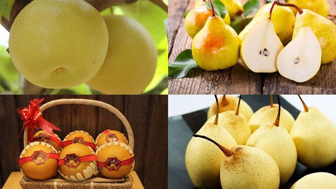 Lê cung cấp đồng và flavonoids