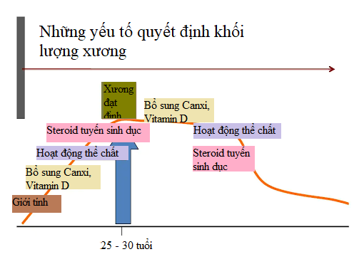  width=