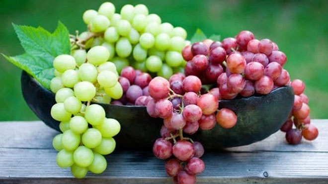 Nho có chất flavonoids