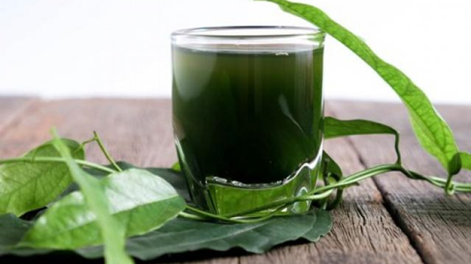 U tuyến giáp có uống được tảo biển không