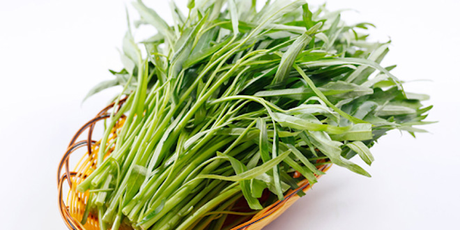 Rau muống dùng được cho bệnh nhân ung thư tuyến giáp.