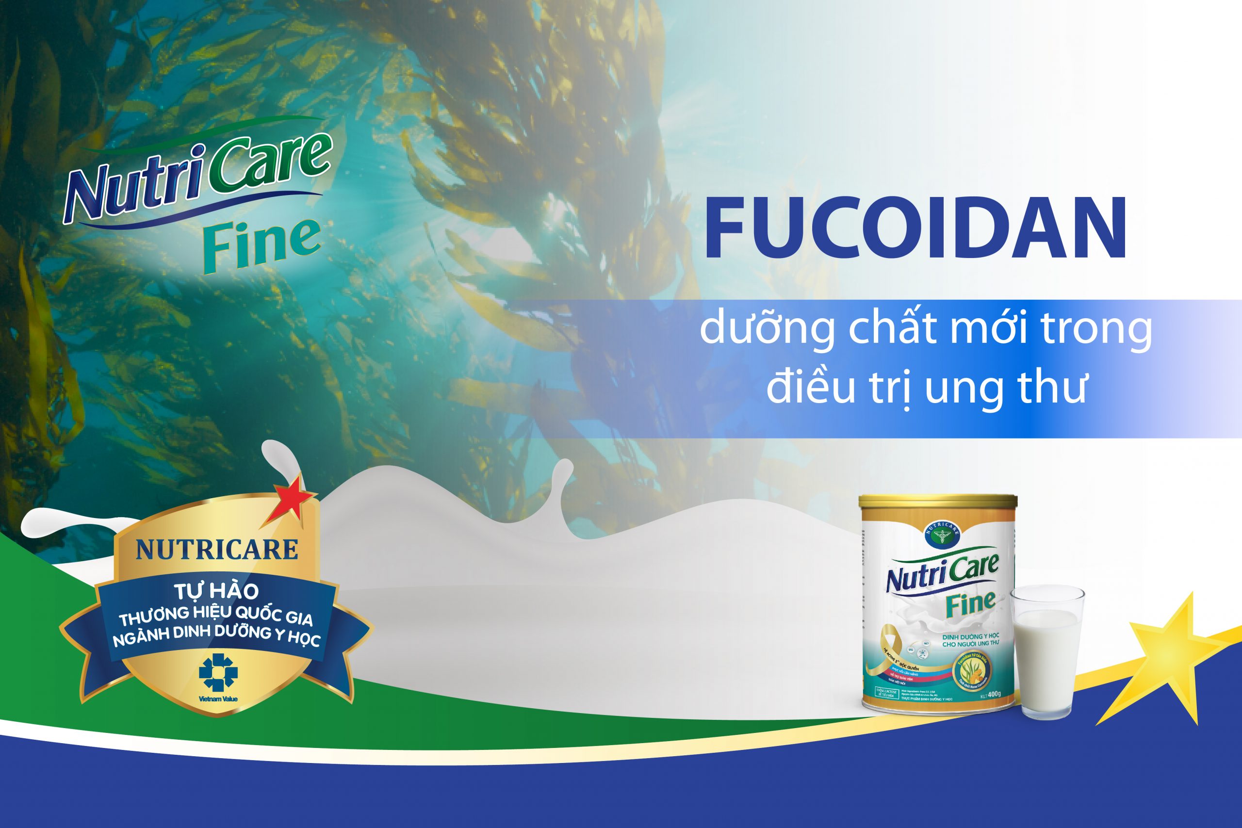 Fucoidan – dưỡng chất mới trong điều trị ung thư.