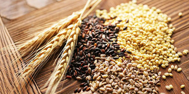 Ngũ cốc nguyên hạt tốt cho bệnh tiểu đường