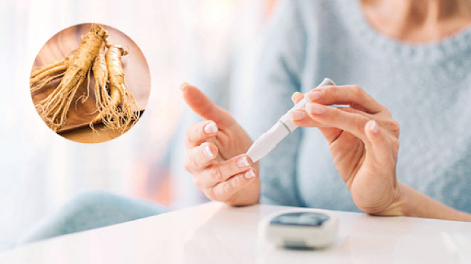 Hồng sâm tốt cho người bệnh tiểu đường