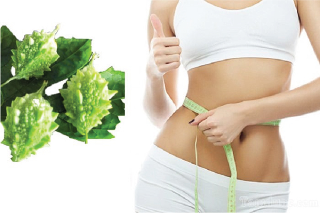Mướp đằng giàu chất xơ tốt cho bệnh tiểu đường
