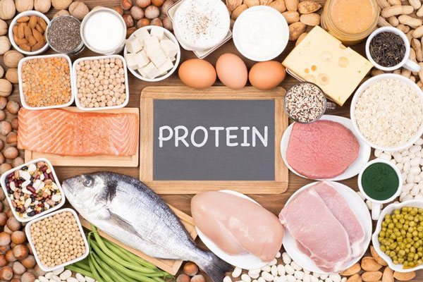 Thức ăn chứa nhiều protein