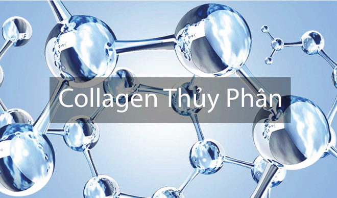 Collagen thủy phân