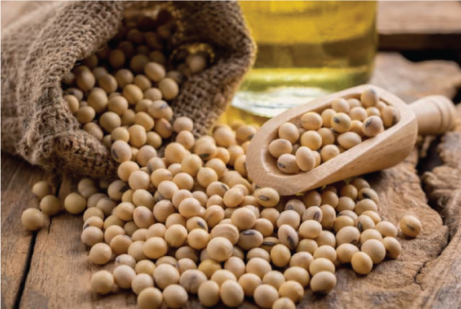 Đậu nành chứa chất Isoflavone và Genistein không tốt cho bệnh nhân xơ tuyến giáp