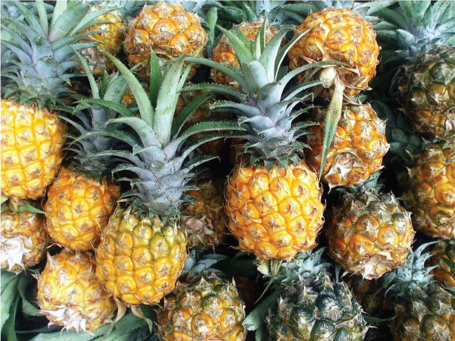 Dứa tươi