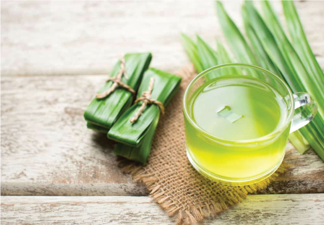 Lá dứa giúp ổn định đường huyết