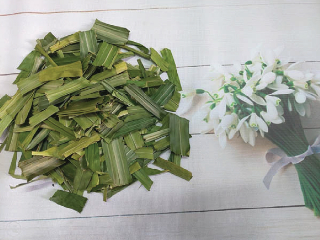 Lá dứa khô