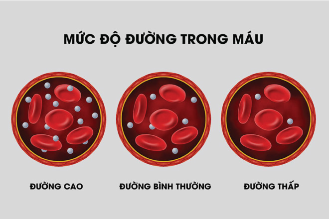 Lượng đường trong máu