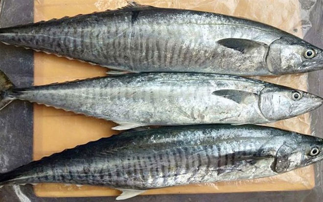 Cá thu chứa nhiều dưỡng chất tốt cho người già