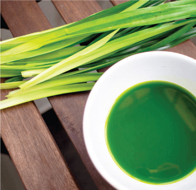 Pha trà bằng lá dứa