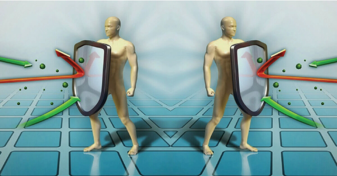 Sữa ong chúa giúp tăng sức đề kháng tốt