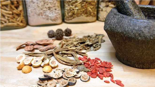 Những bài thuốc đông y hỗ trợ điều trị u tuyến giáp hiệu quả
