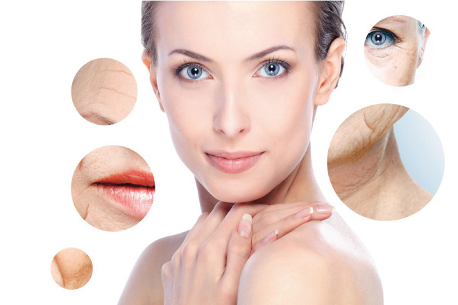 Nhân sâm giúp làm chậm quá trình lão hóa ở người già