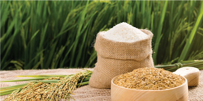 Thực phẩm làm từ gạo nếp