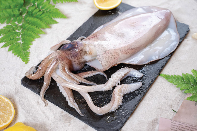 Mực có hàm lượng Protein cao
