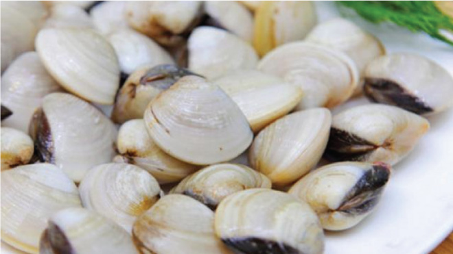 Ngao cung cấp nhiều Vitamin B12