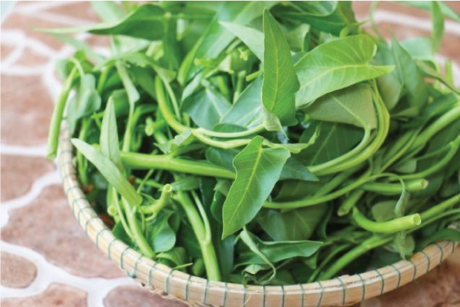 Rau muống