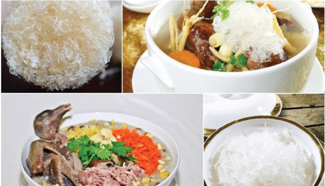 Tổ yến hầm chim bồ câu là món ăn giúp phục hồi sức khỏe