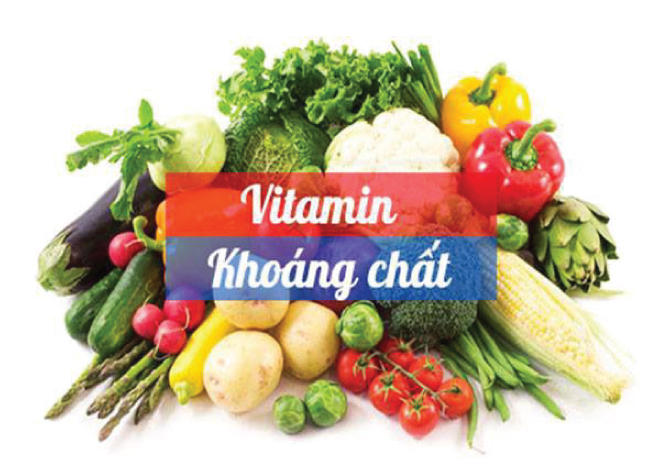 Thực phẩm giàu Vitamin và khoáng chất