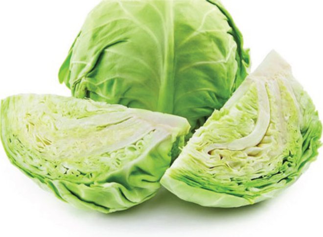 Bắp cải