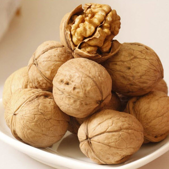 Hạt óc chó
