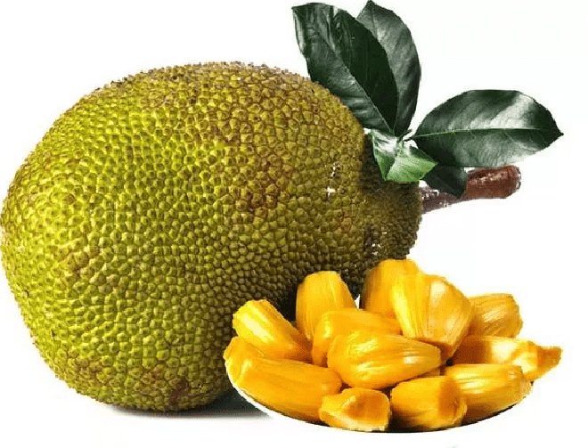 Quả mít