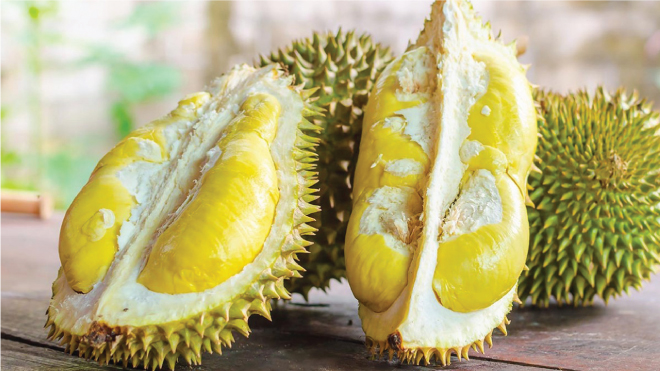 Quả sầu riêng
