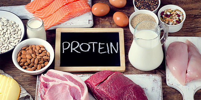 Thực phẩm giàu Protein giúp cơ thể nhanh phục hồi