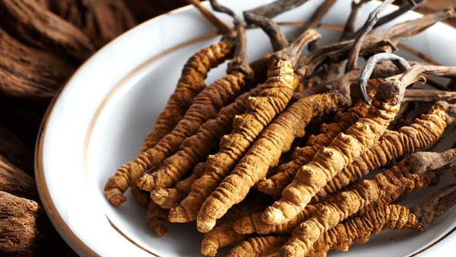 Đông trùng hạ thảo giúp duy trì đường huyết ở mức an toàn