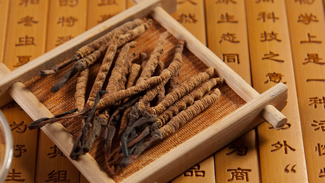 Đông trùng hạ thảo
