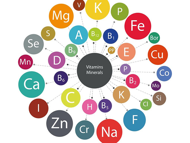 Hệ vi chất Antioxidant