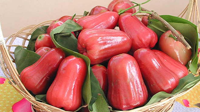 Quả mận, roi