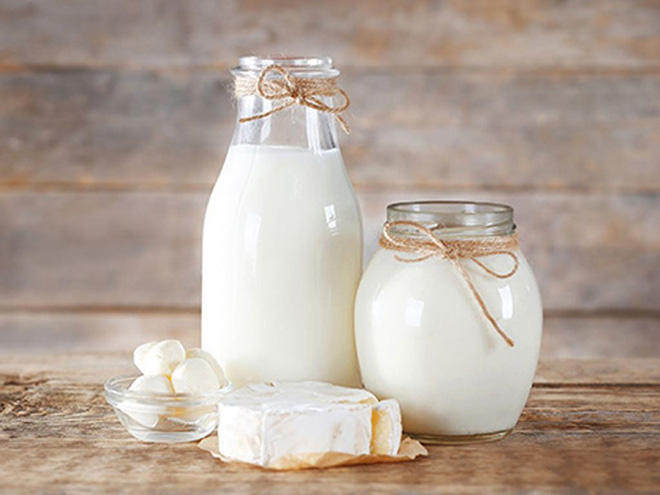 Các loại sữa béo
