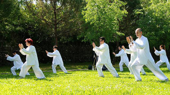 Thái cực quyền Taichi