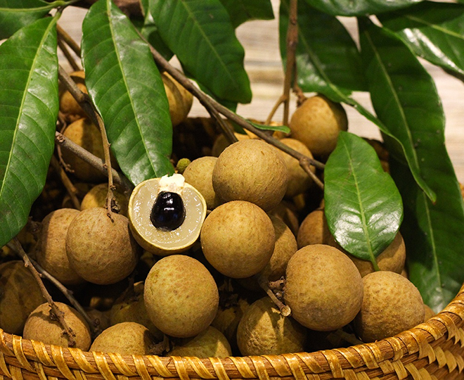 Quả nhãn