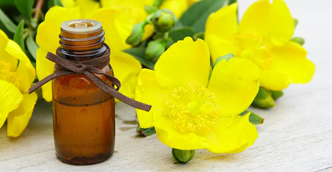 Sử dụng tinh dầu hoa anh thảo đúng cách