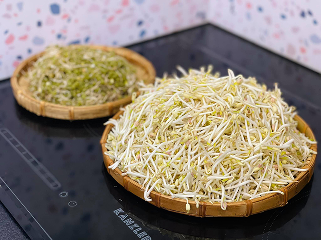 Giá đỗ