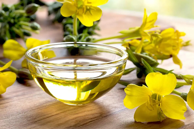 U tuyến giáp có uống được hoa anh thảo không? Tác dụng phụ cần biết trước khi uống