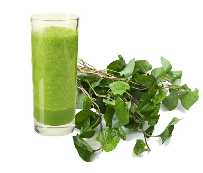 Nước ép rau diếp cá