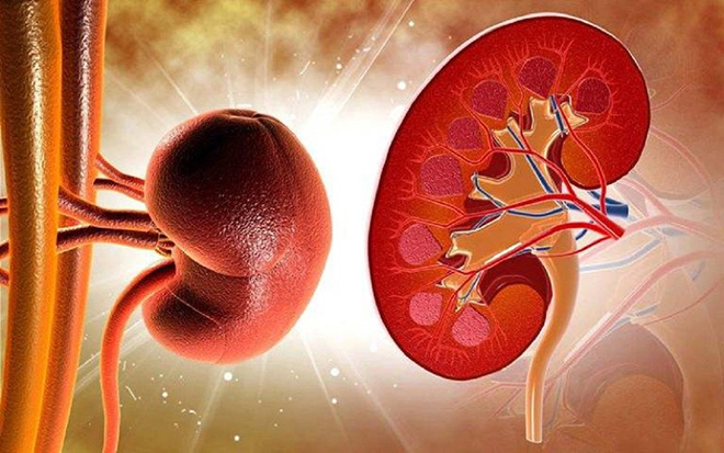 Biến chứng trên thận