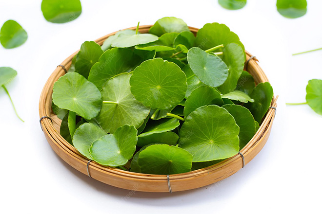 Bệnh tiểu đường có ăn rau má được không? Ăn thế nào cho đúng?